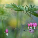 视频宣传片制作 asl604ege9